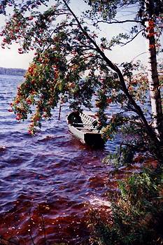 Холодные малиновые воды озера Горо-Валдайское...